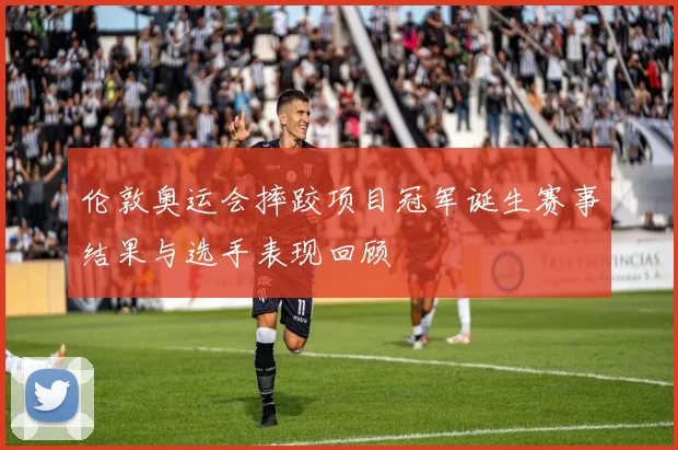 伦敦奥运会摔跤项目冠军诞生赛事结果与选手表现回顾