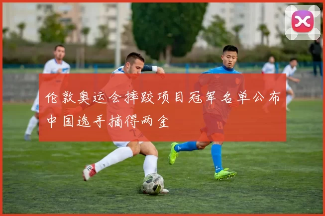 伦敦奥运会摔跤项目冠军名单公布中国选手摘得两金
