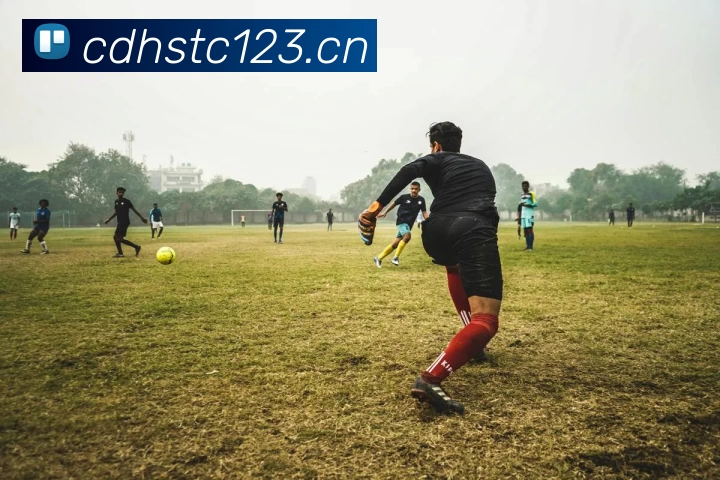 米兰官方网页版 - 米兰MiLan(中国)平台生态图